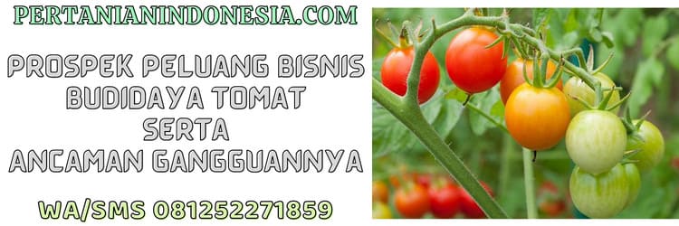 prospek,peluang bisnis,bisnis,agribisnis,agrobisnis